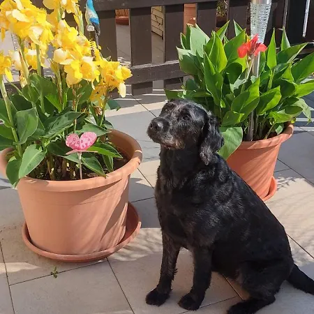 Schoene Aussicht Appartement