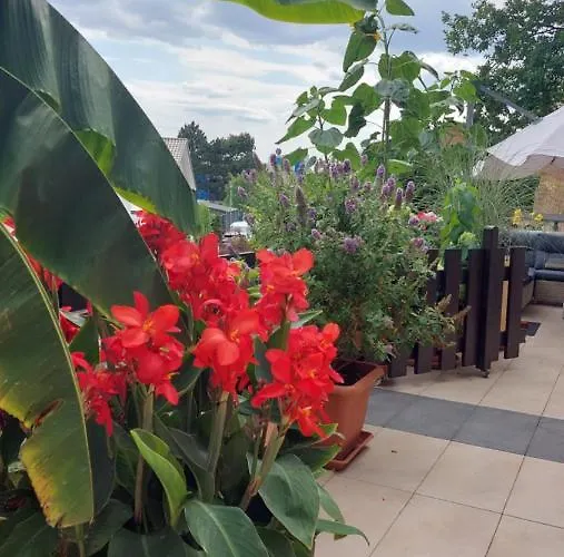 Schoene Aussicht Nideggen